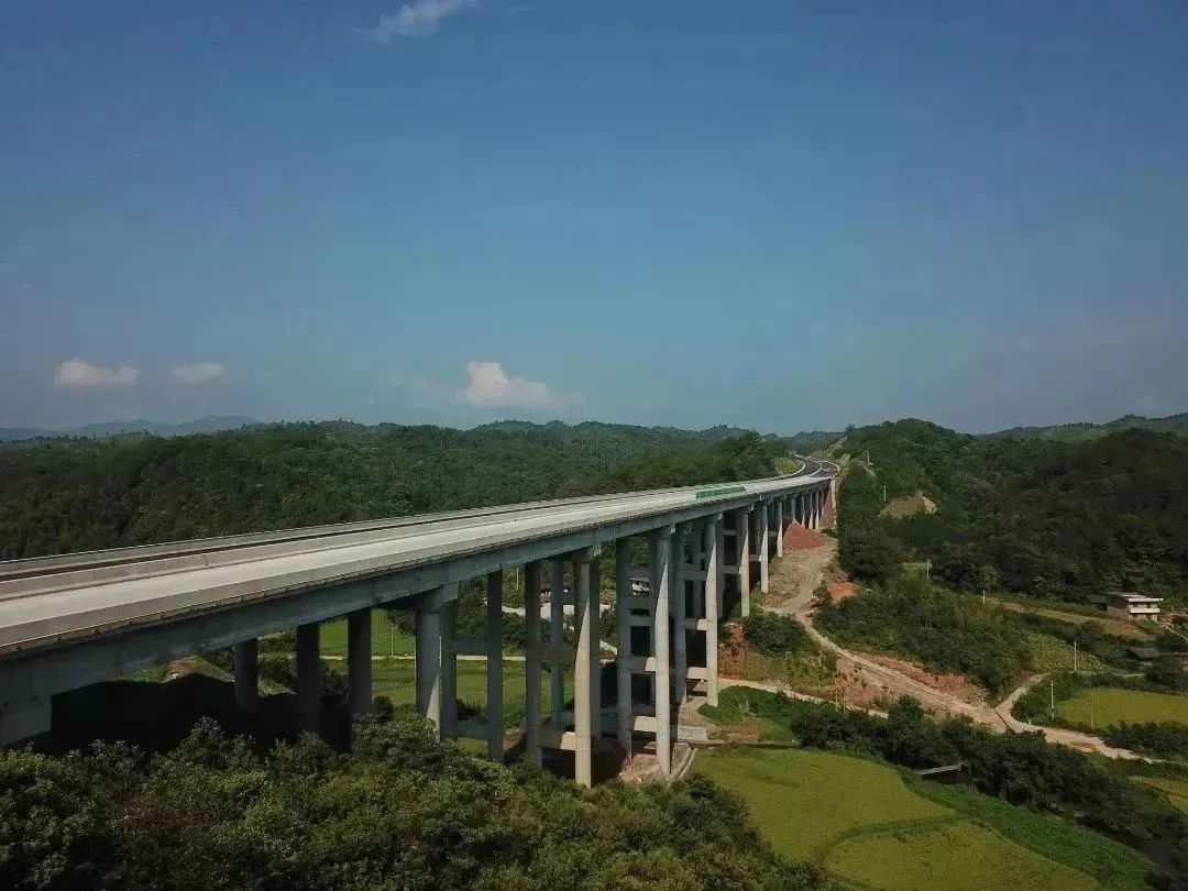 喜报|大成集团广吉项目获评2022年度杜鹃花奖(图3)