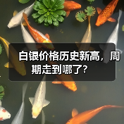 白银价格历史新高，周期走到哪了？（图2）
