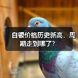 白银价格历史新高，周期走到哪了？（图1）