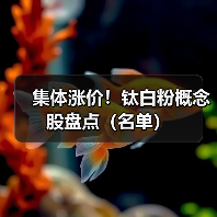 集体涨价！钛白粉概念股盘点（名单）（图4）