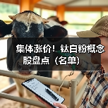 集体涨价！钛白粉概念股盘点（名单）（图1）