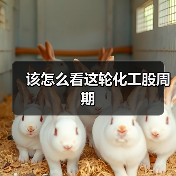 该怎么看这轮化工股周期(图2) 该怎么看这轮化工股周期(图2)