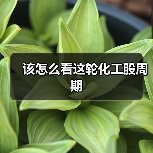 该怎么看这轮化工股周期(图3) 该怎么看这轮化工股周期(图3)