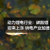 动力锂电行业:碳酸锂迎来上涨 钠电产业加速落地(图3) 动力锂电行业:碳酸锂迎来上涨 钠电产业加速落地(图3)
