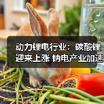 动力锂电行业:碳酸锂迎来上涨 钠电产业加速落地(图2) 动力锂电行业:碳酸锂迎来上涨 钠电产业加速落地(图2)