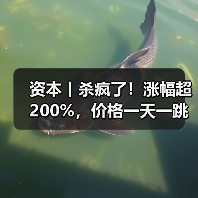 资本丨杀疯了!涨幅超200%,价格一天一跳,拐点在哪?(图4) 资本丨杀疯了!涨幅超200%,价格一天一跳,拐点在哪?(图4)