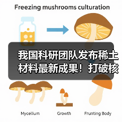我国科研团队发布稀土材料最新成果!打破核心技术瓶颈 攻克世界难题(图4) 我国科研团队发布稀土材料最新成果!打破核心技术瓶颈 攻克世界难题(图4)