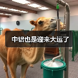 中铝也是迎来大运了（图3）