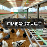 中铝也是迎来大运了（图1）