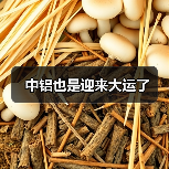 中铝也是迎来大运了（图2）