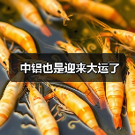 中铝也是迎来大运了（图4）