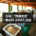 存储 “热得发烫”,应用材料 AMAT 还能 “沾光” 吗?(图1) 存储 “热得发烫”,应用材料 AMAT 还能 “沾光” 吗?(图1)