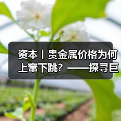 资本丨贵金属价格为何上窜下跳？——探寻巨幅波动背后推手（图3）
