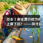 资本丨贵金属价格为何上窜下跳？——探寻巨幅波动背后推手（图1）