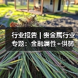 行业报告 | 贵金属行业专题：金融属性+供弱需强，银价中枢上行（图4）