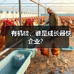有机硅,谁是成长最快企业?(图2) 有机硅,谁是成长最快企业?(图2)