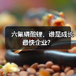 六氟磷酸锂,谁是成长最快企业?(图1) 六氟磷酸锂,谁是成长最快企业?(图1)
