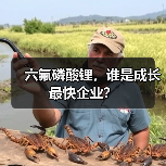 六氟磷酸锂,谁是成长最快企业?(图2) 六氟磷酸锂,谁是成长最快企业?(图2)
