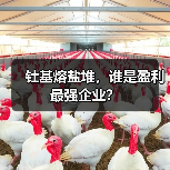 钍基熔盐堆,谁是盈利最强企业?(图1) 钍基熔盐堆,谁是盈利最强企业?(图1)