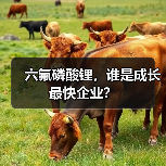 六氟磷酸锂,谁是成长最快企业?(图3) 六氟磷酸锂,谁是成长最快企业?(图3)
