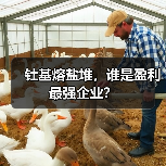 钍基熔盐堆,谁是盈利最强企业?(图2) 钍基熔盐堆,谁是盈利最强企业?(图2)