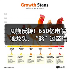 周期反转！650亿电解液龙头，“熬”过至暗时刻（图3）