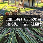 周期反转！650亿电解液龙头，“熬”过至暗时刻（图4）