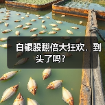 白银股翻倍大狂欢,到头了吗?(图4) 白银股翻倍大狂欢,到头了吗?(图4)