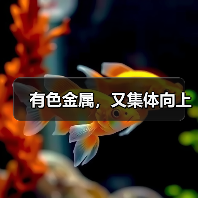 有色金属，又集体向上（图2）
