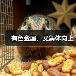 有色金属，又集体向上（图1）