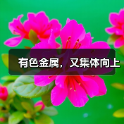 有色金属，又集体向上（图3）