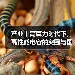产业丨高算力时代下，高性能电容的突围与国产替代机遇（图3）