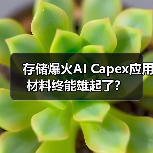 存储爆火AI Capex应用材料终能雄起了？（图1）