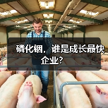 磷化铟,谁是成长最快企业?(图2) 磷化铟,谁是成长最快企业?(图2)
