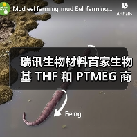 瑞讯生物材料首家生物基 THF 和 PTMEG 商业化工厂完成机械竣工 发布全新非粮生物基 PTMEG 品牌 Xatryx(图4) 瑞讯生物材料首家生物基 THF 和 PTMEG 商业化工厂完成机械竣工 发布全新非粮生物基 PTMEG 品牌 Xatryx(图4)