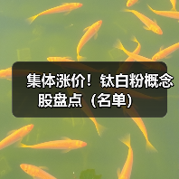 集体涨价!钛白粉概念股盘点(名单)(图2) 集体涨价!钛白粉概念股盘点(名单)(图2)
