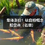 集体涨价!钛白粉概念股盘点(名单)(图3) 集体涨价!钛白粉概念股盘点(名单)(图3)