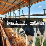 铜互连工艺,面临挑战(图3) 铜互连工艺,面临挑战(图3)