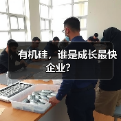 有机硅,谁是成长最快企业?(图1) 有机硅,谁是成长最快企业?(图1)