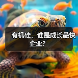 有机硅,谁是成长最快企业?(图3) 有机硅,谁是成长最快企业?(图3)