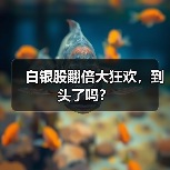白银股翻倍大狂欢,到头了吗?(图1) 白银股翻倍大狂欢,到头了吗?(图1)
