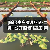 [新疆生产建设兵团·二师][公开招标][施工]第二师铁门关市高职区配电网建设项目（图1）