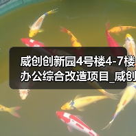 威创创新园4号楼4-7楼办公综合改造项目_威创创新园4号楼4-7楼办公综合改造项目设计施工总承包招标公告（图3）