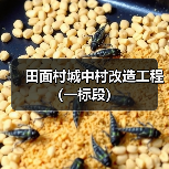 田面村城中村改造工程(一标段)(图3) 田面村城中村改造工程(一标段)(图3)