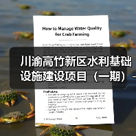 川渝高竹新区水利基础设施建设项目（一期）-重水沟生态整治工程（图4）