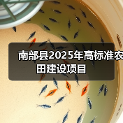南部县2025年高标准农田建设项目(图3) 南部县2025年高标准农田建设项目(图3)