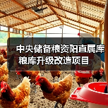 中央储备粮资阳直属库粮库升级改造项目（图1）