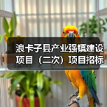 浪卡子县产业强镇建设项目(二次)项目招标公告(图3) 浪卡子县产业强镇建设项目(二次)项目招标公告(图3)