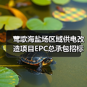 莺歌海盐场区域供电改造项目EPC总承包招标公告(图4) 莺歌海盐场区域供电改造项目EPC总承包招标公告(图4)