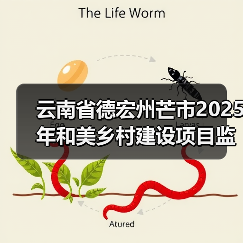 云南省德宏州芒市2025年和美乡村建设项目监理招标公告（图4）